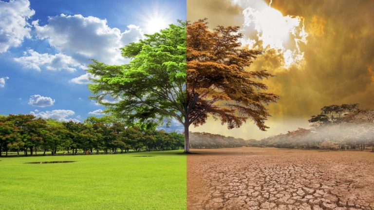 Climate Change And Its Effects on Pakistan